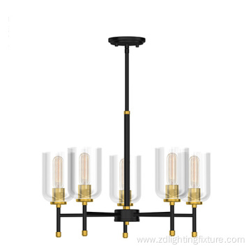 Industrial Style Glass Chandelier Light Indoor Lamp